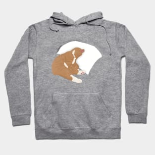 Cat's life Hoodie